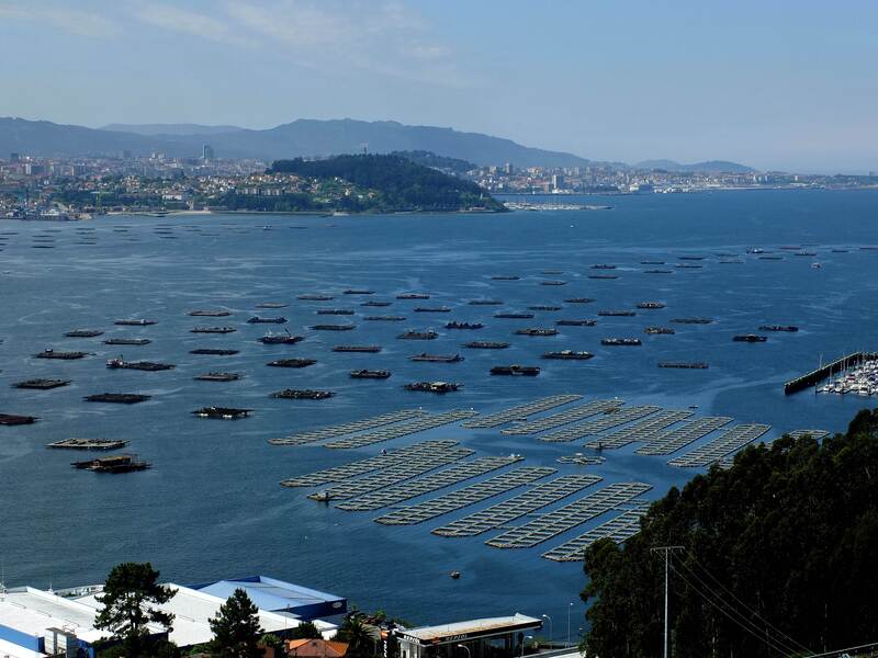 Ría de Vigo: paseo en barco