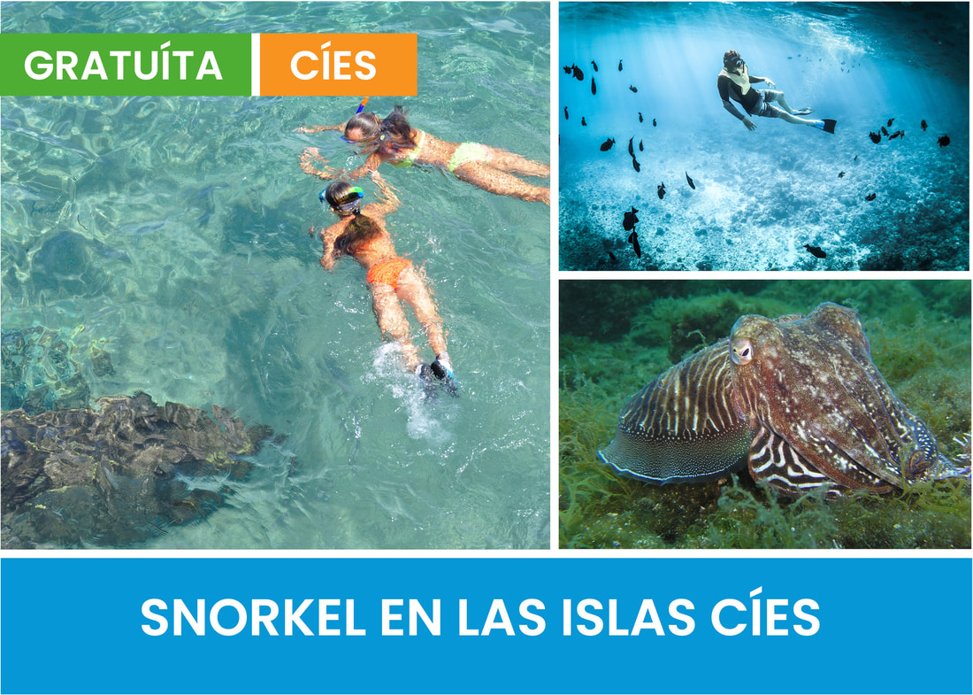 Actividades gratuítas: snorkel en las islas cies
